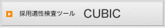 �̗p�K�������c�[�� CUBIC